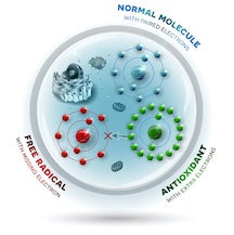Antioxidant Mechanisms within the Body Osteopathybooks
