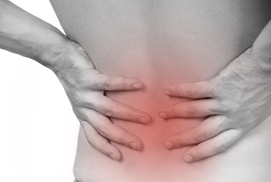 Differentiating the cause of Low Back Pain is essential for efficient osteopathic treatment Osteopathybooks