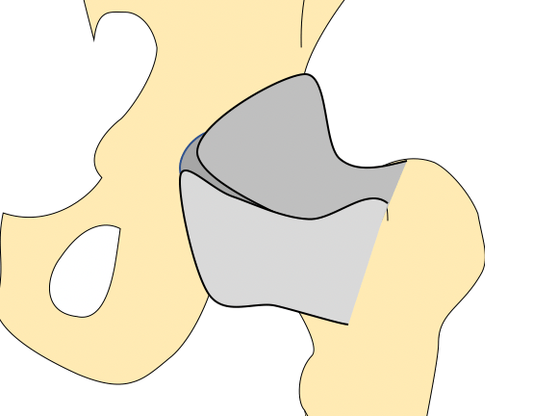 Joint Receptors (Beside Pain Receptors) Osteopathybooks