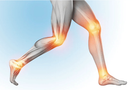 The Scientific Osteopathic Approach To Patients With Knee, Ankle Or Foot Pain Course Thinkific