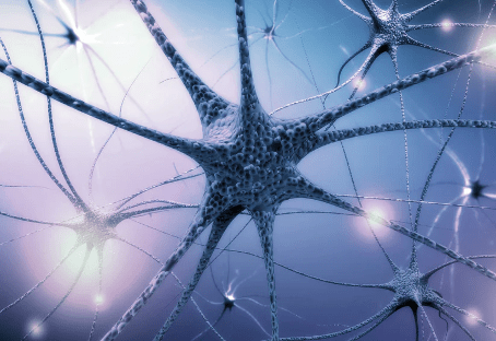 Understanding The Autonomic Nervous System And Its Scientific Osteopathic Approach Course