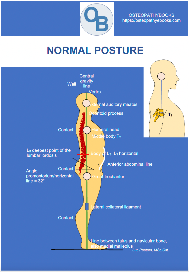 osteopathy poster normal posture