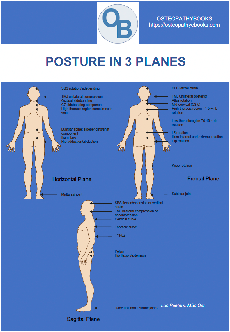osteopathy poster posture