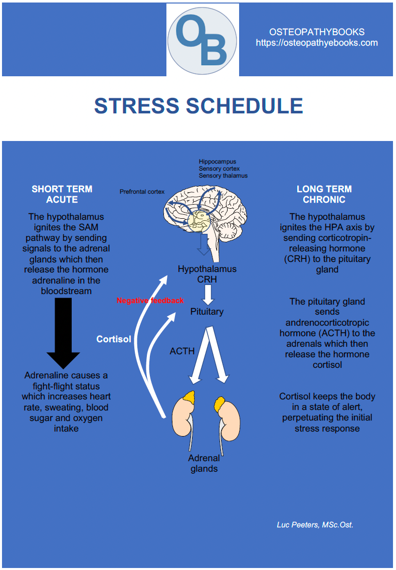 osteopathy poster stress schedule