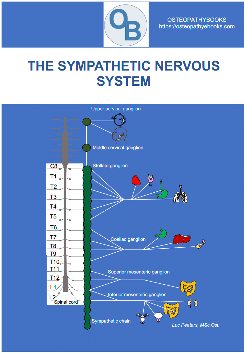 osteopathy posters sympathetic nervous system