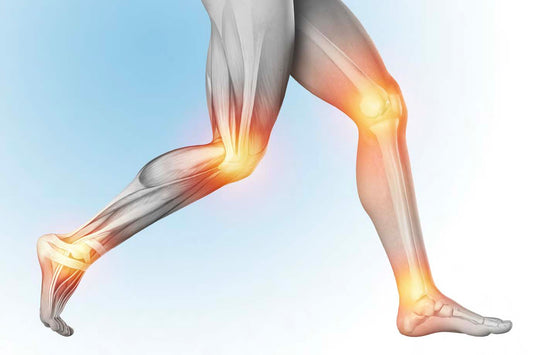Scientific Osteopathic Approach to Patients with Knee, Ankle or Foot pain Osteopathybooks