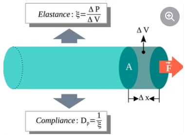 Compliance and Elasticity