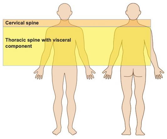 Differentiating and treating cervical pain with osteopathy