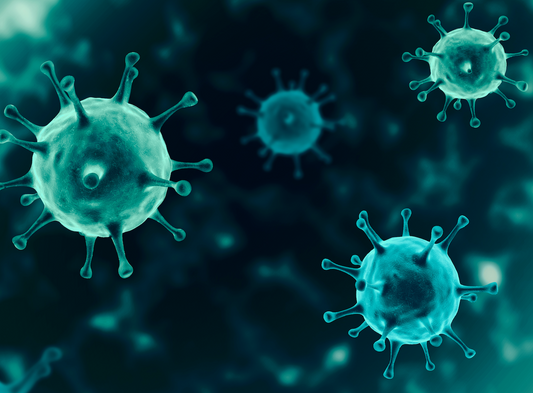 The difference between viruses and bacteria