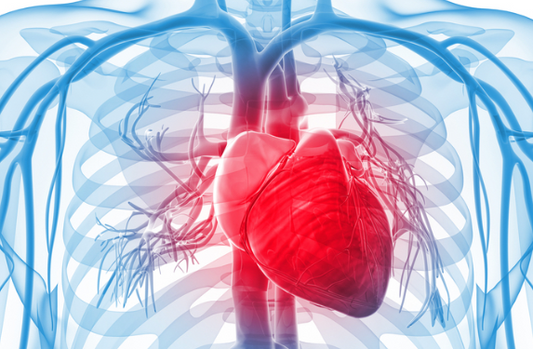 Osteopathy: cardiogenic shock
