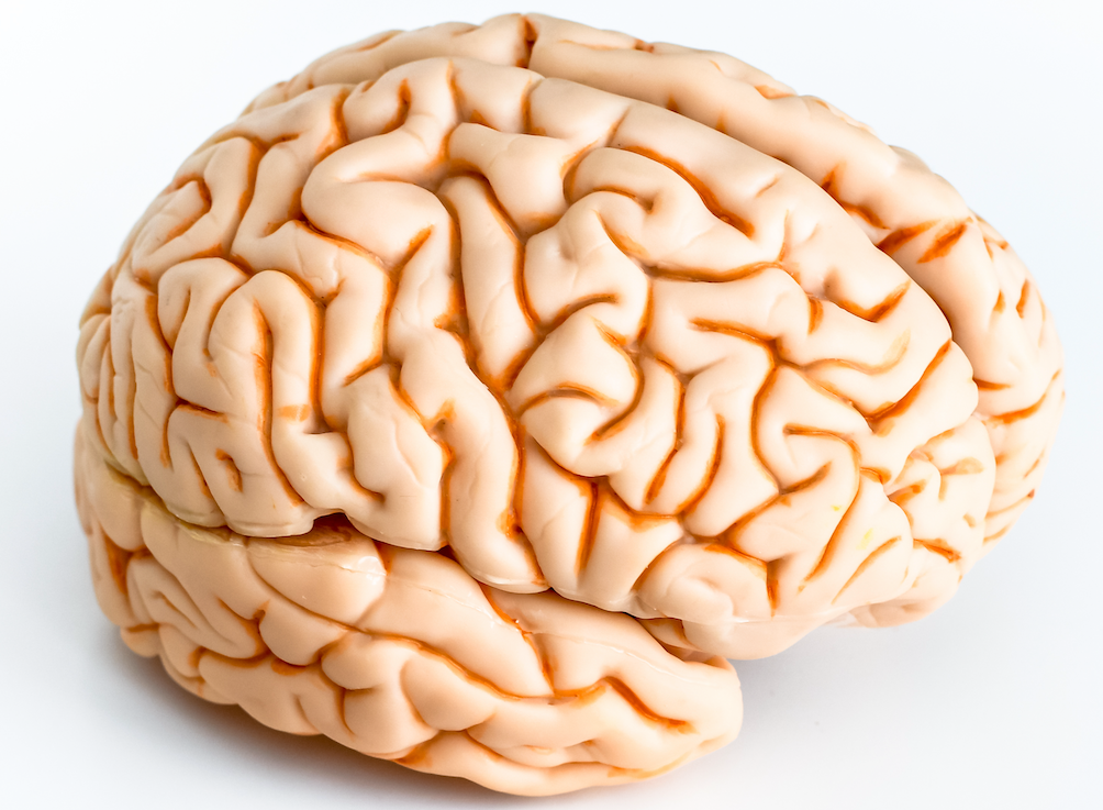 Osteopathy: Central sensitization 