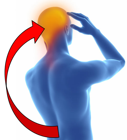 Low Back Pain and the Brain Osteopathybooks