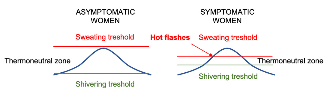Hot Flashes in Perimenopausal Women Osteopathybooks
