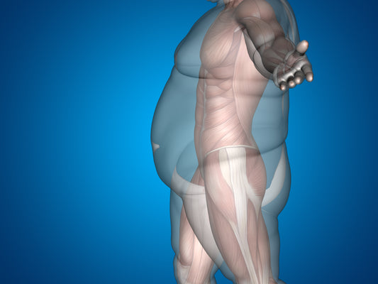 Vagus nerve and obesity