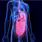Nutrition And Physical Complaints Course 