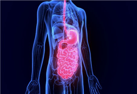 Nutrition And Physical Complaints Course 