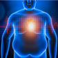 The Scientific Osteopathic Approach To Patients With The Metabolic Syndrome Course Thinkific 