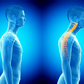Posturology And Its Scientific Osteopathic Approach Course 