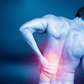The Scientific Osteopathic Approach To Patients With Low Back Pain Course 