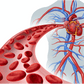 The Scientific Osteopathic Approach To Vascularization And Oxygen Supply In Patients Course