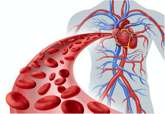 The Scientific Osteopathic Approach To Vascularization And Oxygen Supply In Patients Course