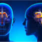 osteopathy cerebrospinal fluid