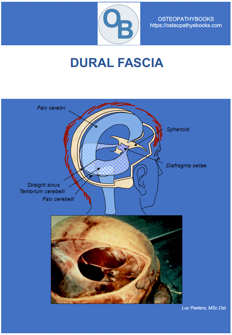osteopathy poster dural fascia