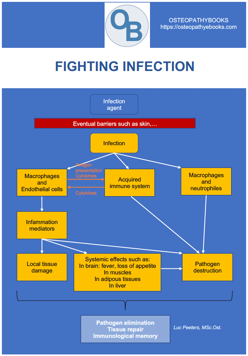 osteopathy poster fighting infection