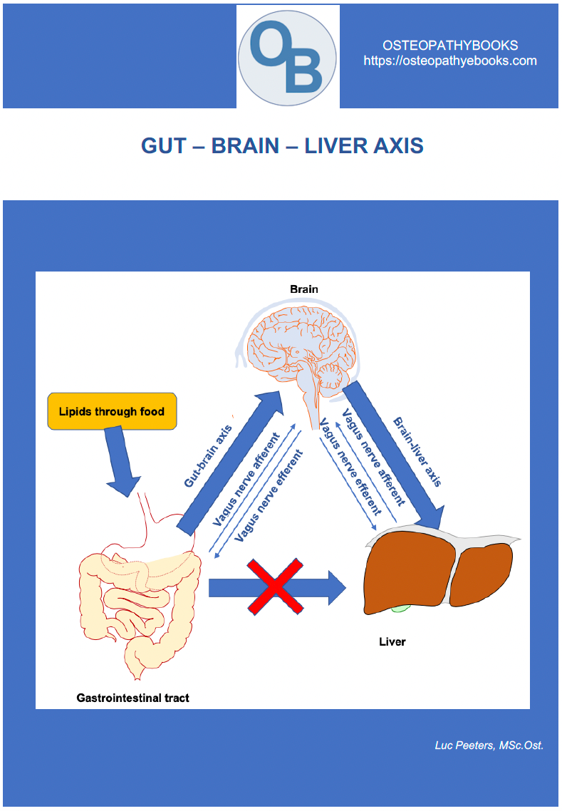 osteopathy poster gut brain liver axis