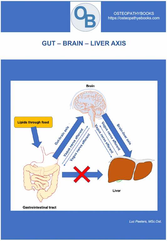 osteopathy poster gut brain liver axis