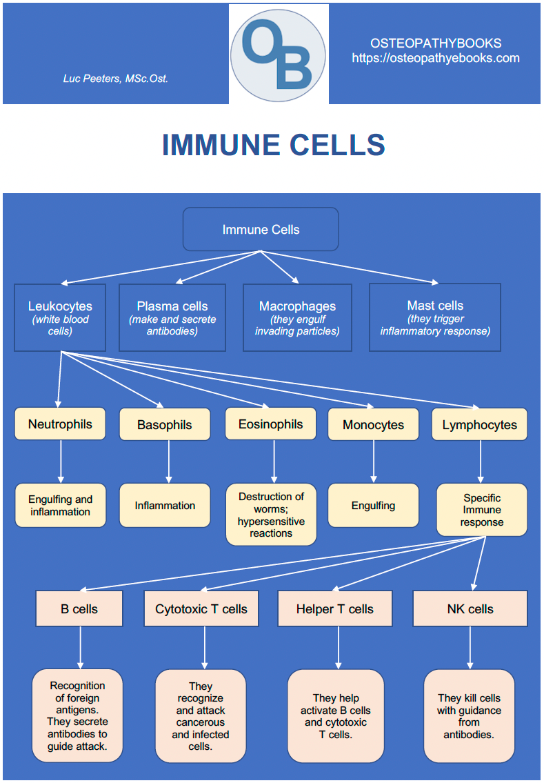 osteopathy poster immune cells
