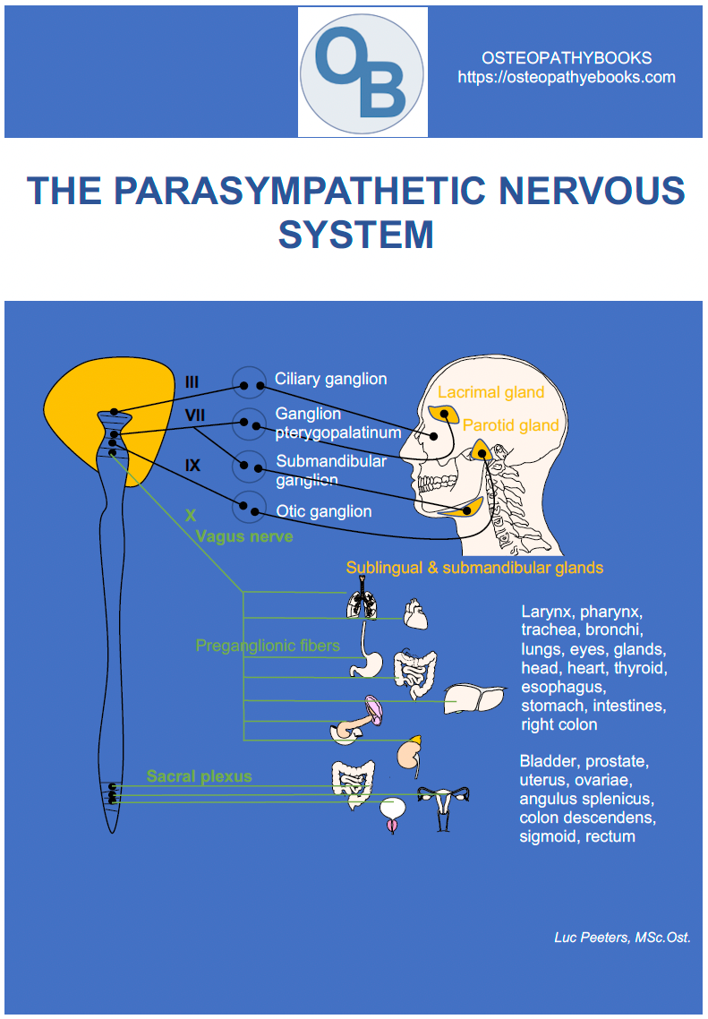 osteopathy poster parasympathetic nervous system