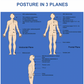 osteopathy poster posture