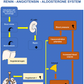 osteopathy poster renin angiotensin aldosterone system