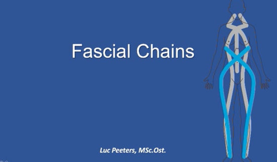 Osteopathy: Learn how to examine and treat the fascial chains