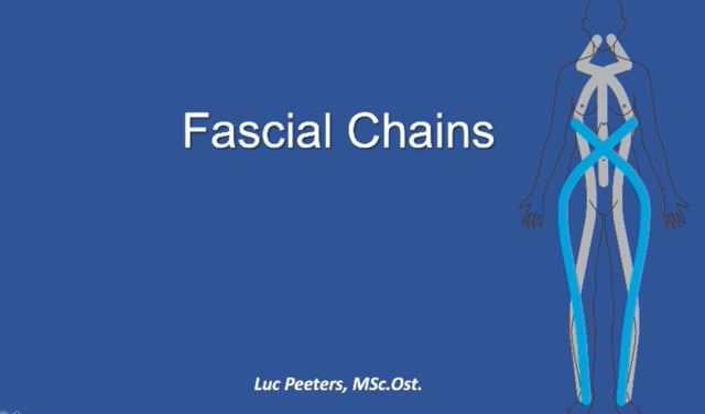 Osteopathy: Learn how to examine and treat the fascial chains